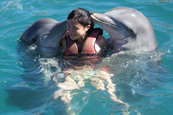 swimming_with_dolphins-1